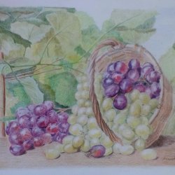 Basket of grapes.jpg