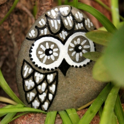 Costa Brava stone painted like Owl