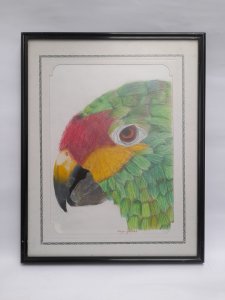 realistic parrot