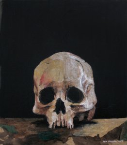Cráneo / Skull