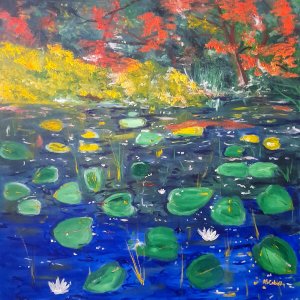 OFFER Water lilies