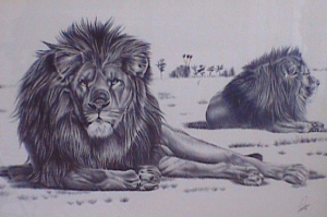 Lions in the Serengheti