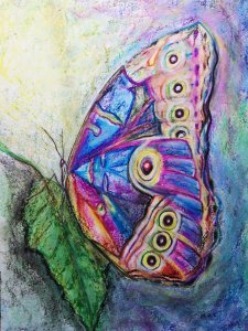 Mariposa Multicolor