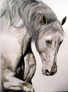 Equus 1