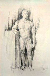 Desnudo semintegral masculino