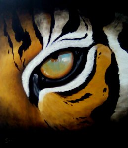 Ojo de tigre
