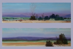diptych micro landscapes
