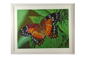 Colorful butterfly on green background