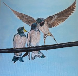 The swallows