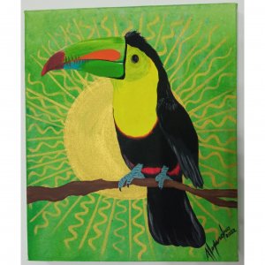 the colors of the toucan