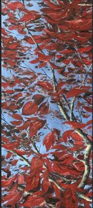 "RED", series "UNDER THE TREES"