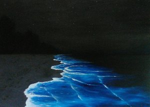 Mar de noche