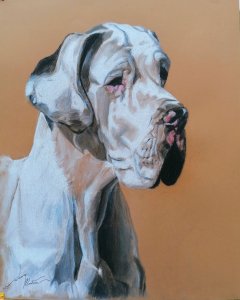 Portrait of Iasmin (German Bulldog)