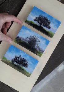holm oak triptych micro-landscapes