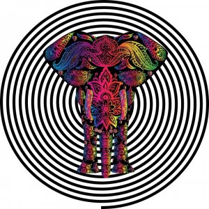Technicolor Elephant