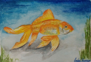 golden fish.jpg