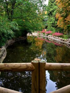 Autumn, Retiro Park Pond