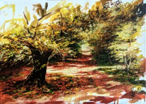 Selva de Irati. Pinturas al óleo de paisajes campestres - Óleos de árboles - Paisajes de otoño pintados al óleo