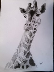 Dibujo de jirafa