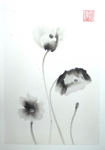 Amapolas en flor