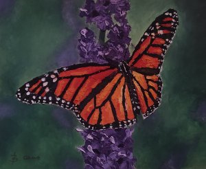 Mariposa monarca I