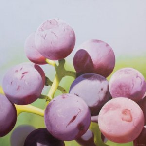 Grapes # 10