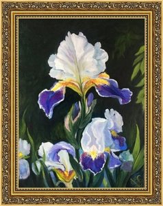 Irises Flowers