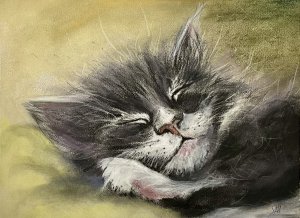 Sleeping kitten 37 x28.jpeg