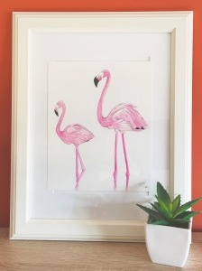 flamingos 1