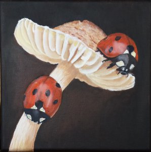 mushroom-04.jpg