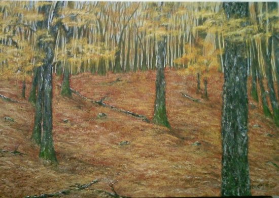 Bosque en otoño