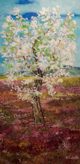 Almond tree in the spring