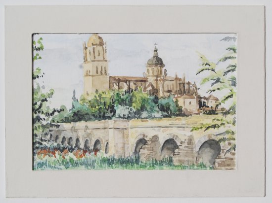 The Roman bridge of Salamanca