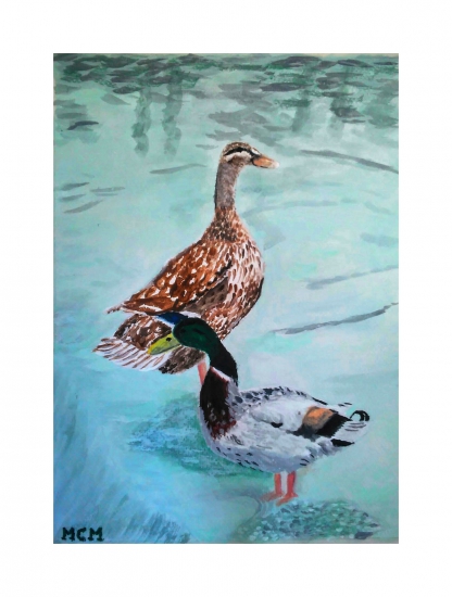 ducks acrylic-animales.jpg