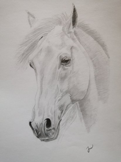 Dibujo de caballo