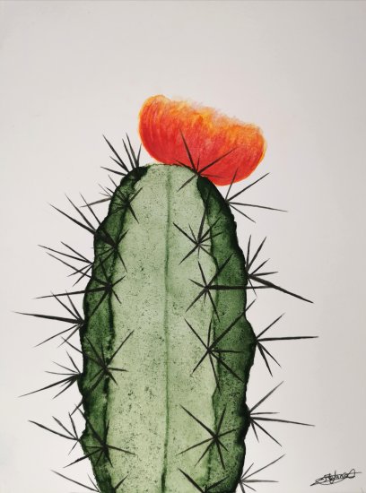 El cactus, Otros, Dibujos, comprar arte original