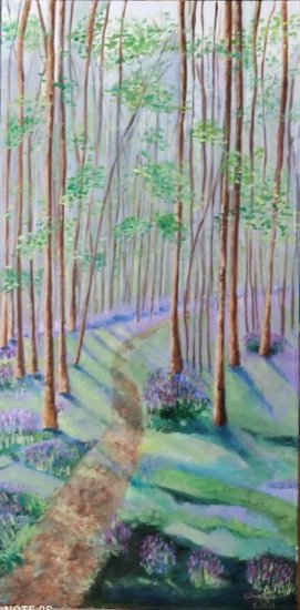 FOREST IN SPRING
