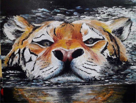 34- Tigre en el agua.jpg
