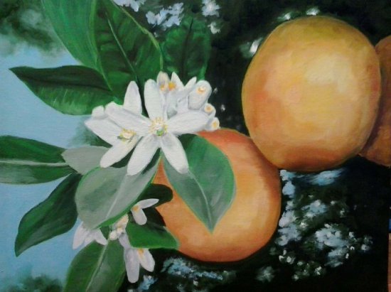 naranjos en flor