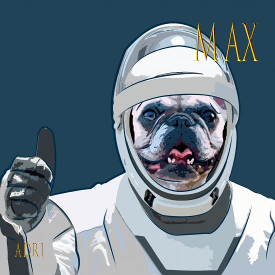dog-astronaut.jpg