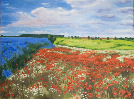 field with poppies and lavender