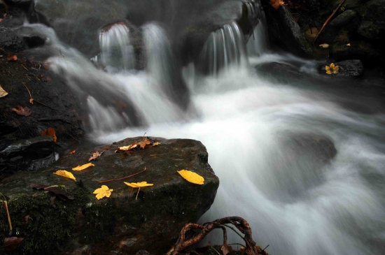 Small waterfall with autumnal leaves.