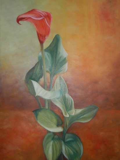 Flor Cala Roja, original painting, Oil on Canvas, buy paintings