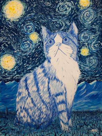 The starry cat