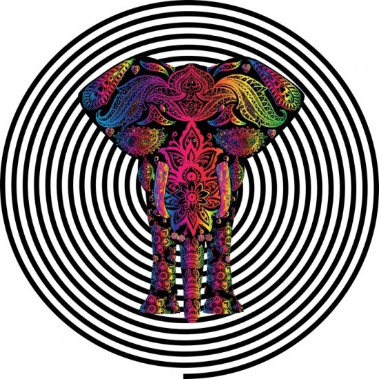 Technicolor Elephant