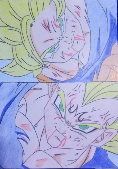 Goku y vegeta, Roy mustang y Airoria de Leo