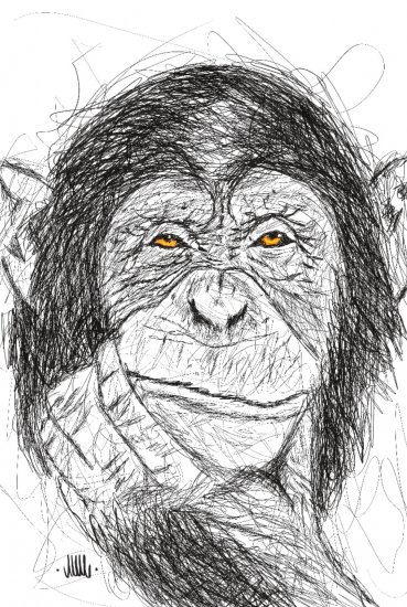 doodle monkey!