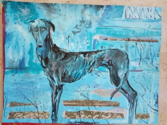 Lonely greyhound
