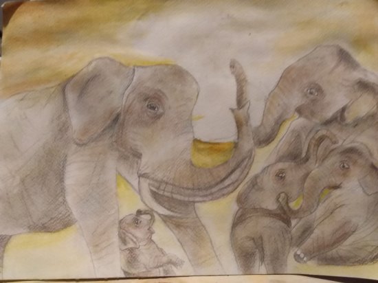 Elefantes adorados