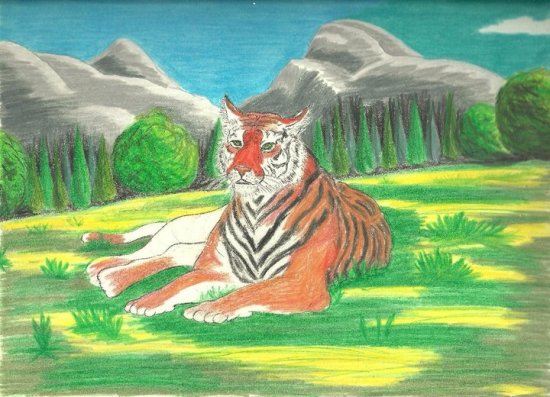 Tiger in Bamboo Forest by Brita Lee